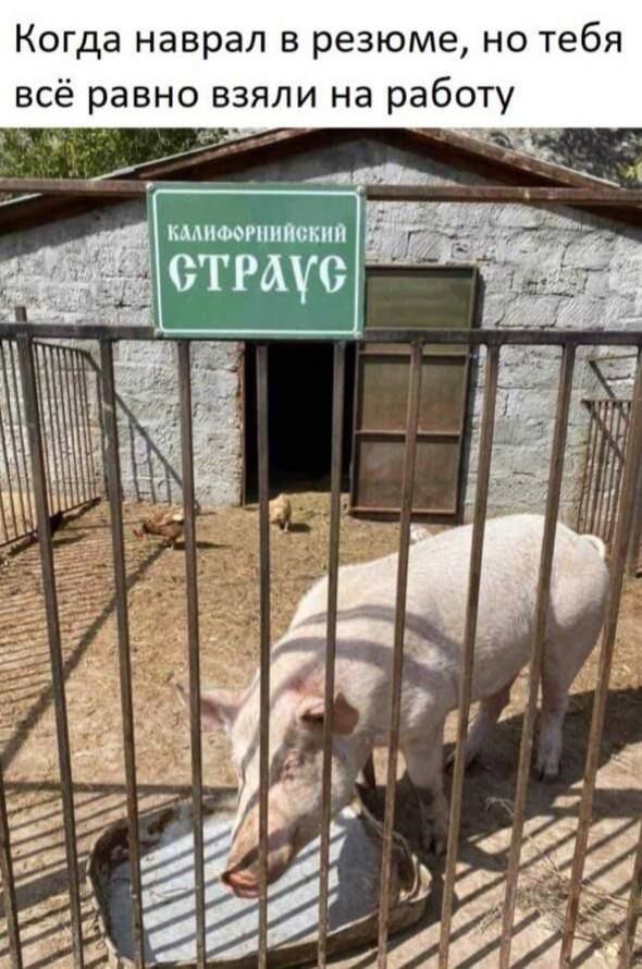 Пьяный Твиттер (@drunktwi) on Twitter photo 