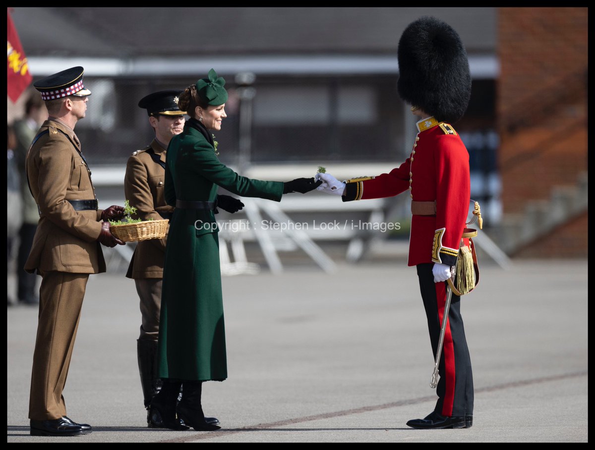 i-Images Picture Agency tweet media