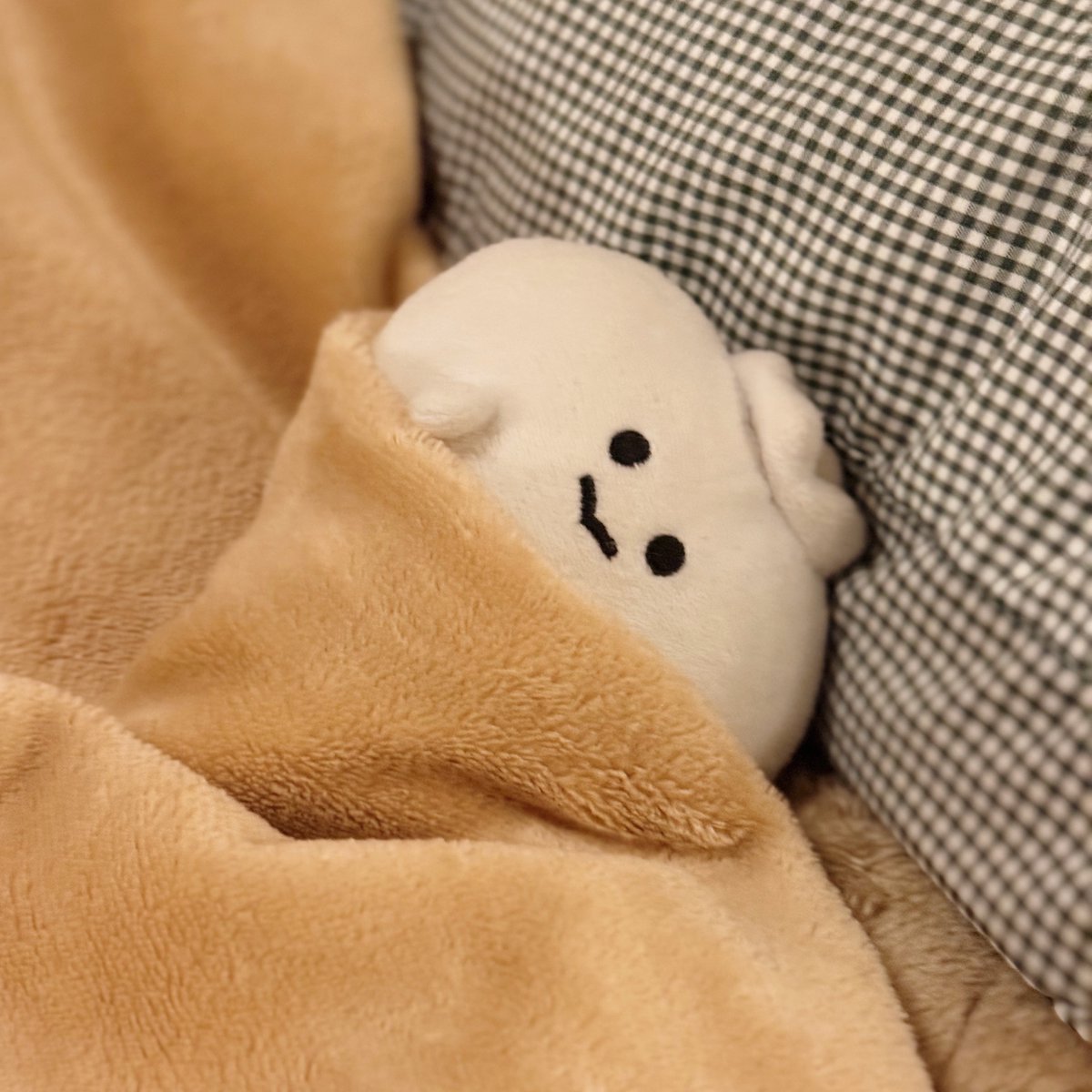 きょうは、なにか、いいこと、あった？