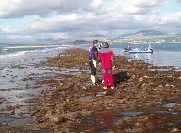 GPC Welsh dictionary tweet media