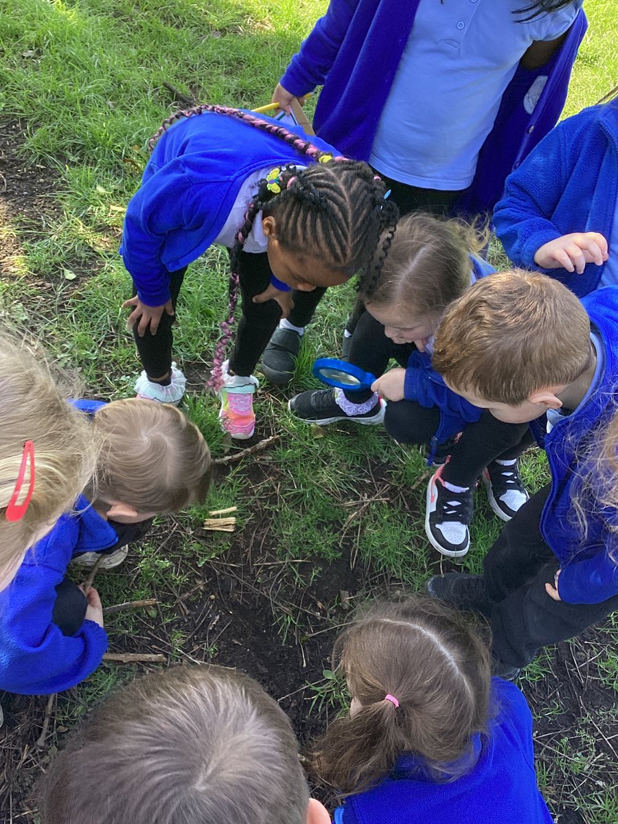 stedwardsce's tweet photo. Reception have been on a minibeast hunt! https://t.co/oN8SutnpdH