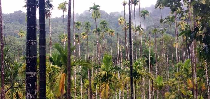 Subhaschandra Hegde tweet media