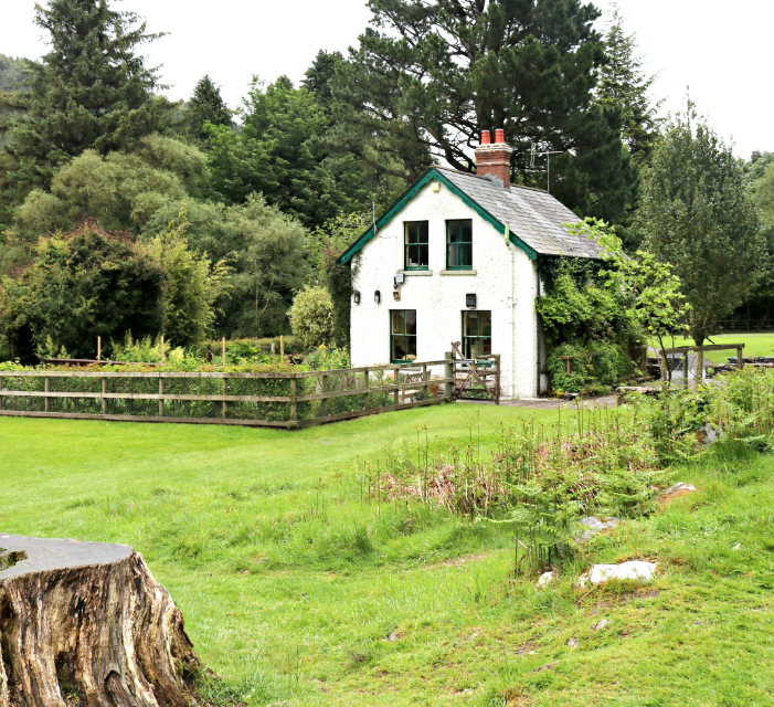 TheWokeObserver tweet media