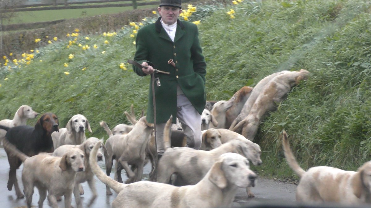 Mendip Hunt Sabs tweet media