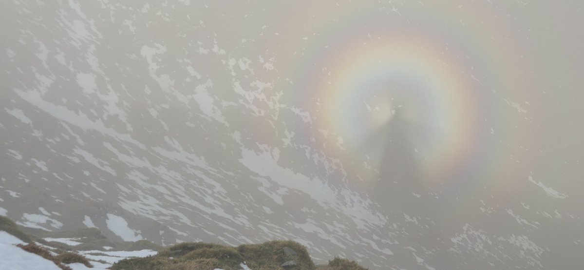 Fell Top Assessors tweet media