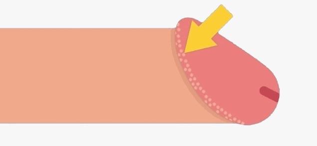 Klinika Testosteronu tweet media