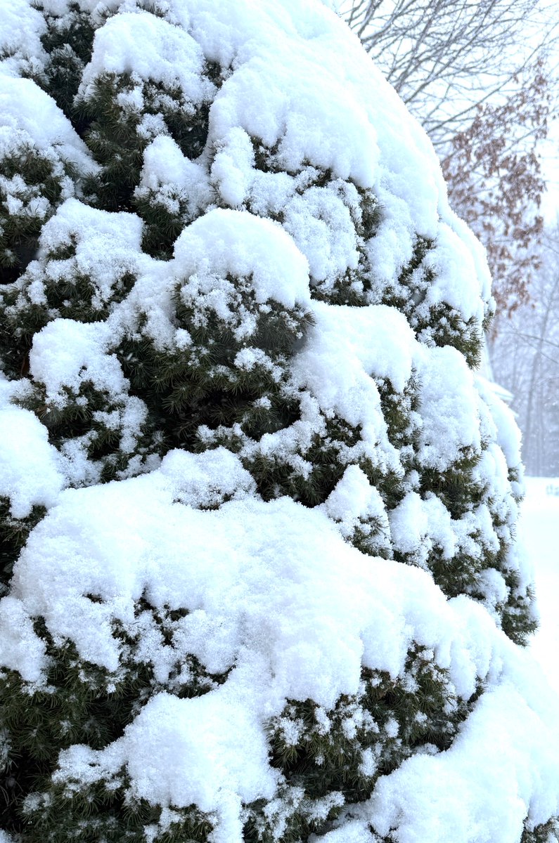 FarmTalc's tweet image. That pesky #leprechaun just dropped winter on @farmtalc 
#luckoftheirish #whereisspring 
Happy St. Patrick's Day!