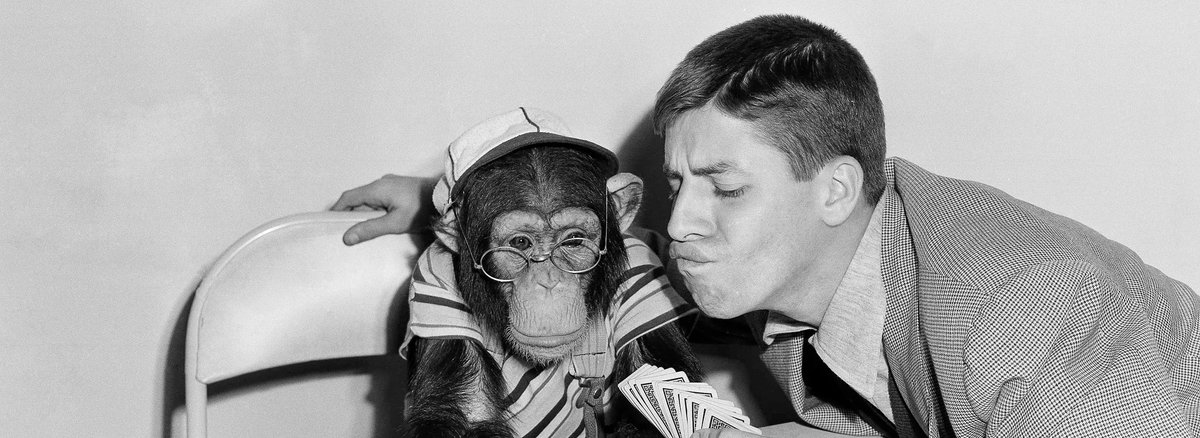 Fata Morgana Web tweet media