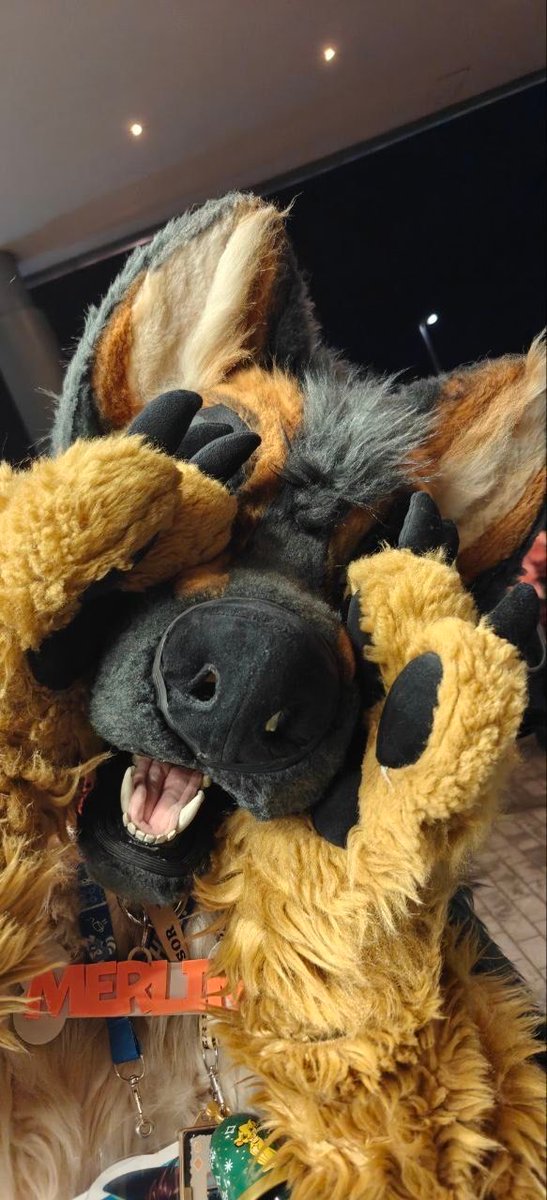 Merlin/MrSheppy - Furrific/MFF 2025 tweet media