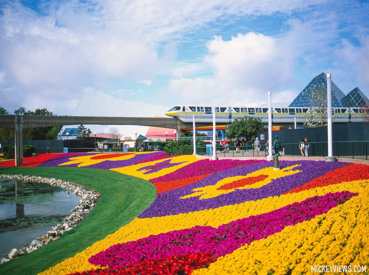 Mickey Views tweet media