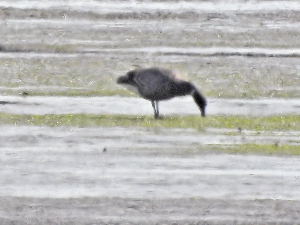 Hadyn Jones tweet media