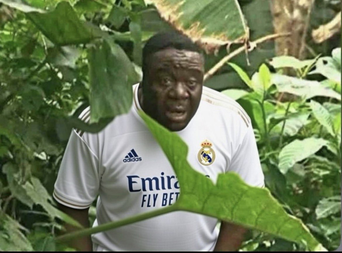 Omo I go reason one big x account make the guy engage on my tweet, Baba don tiff am like this😂😂😂😂