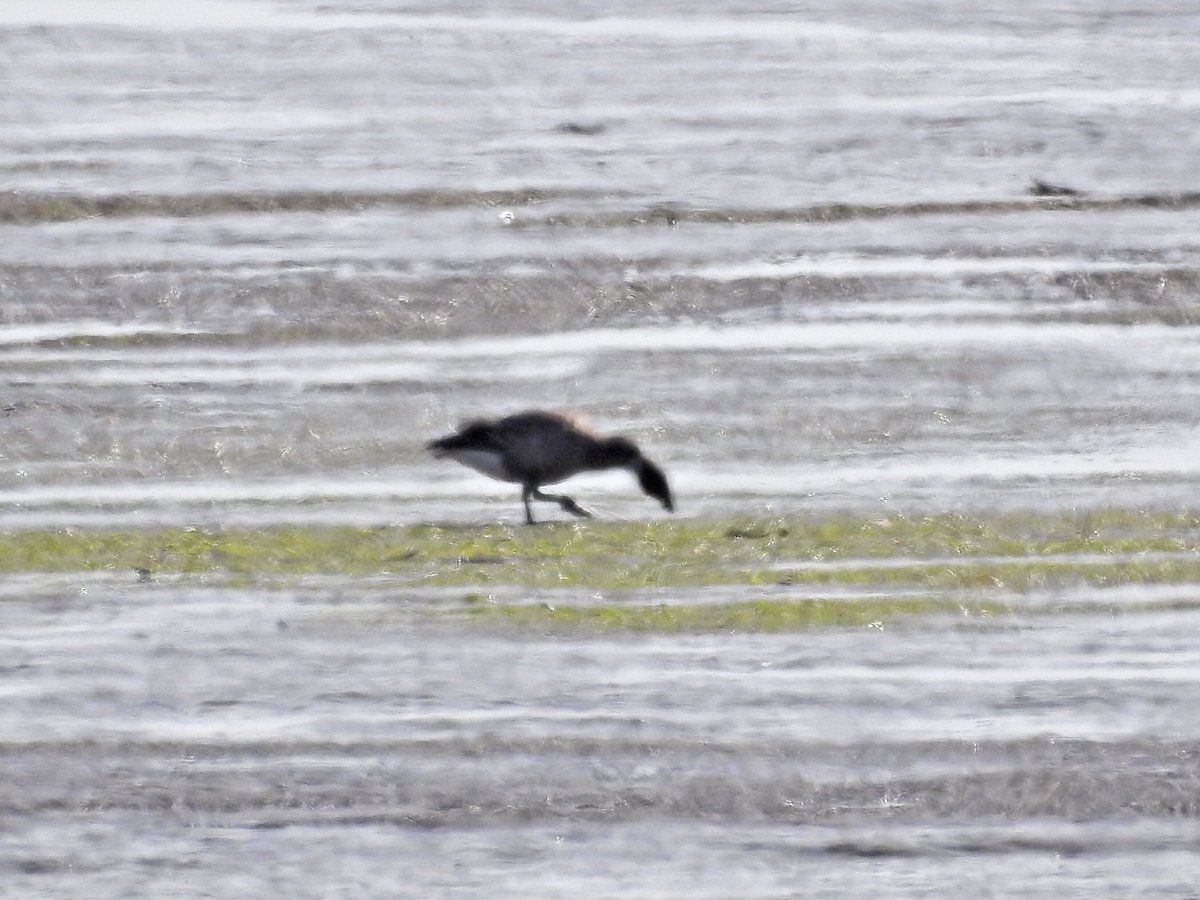 Hadyn Jones tweet media