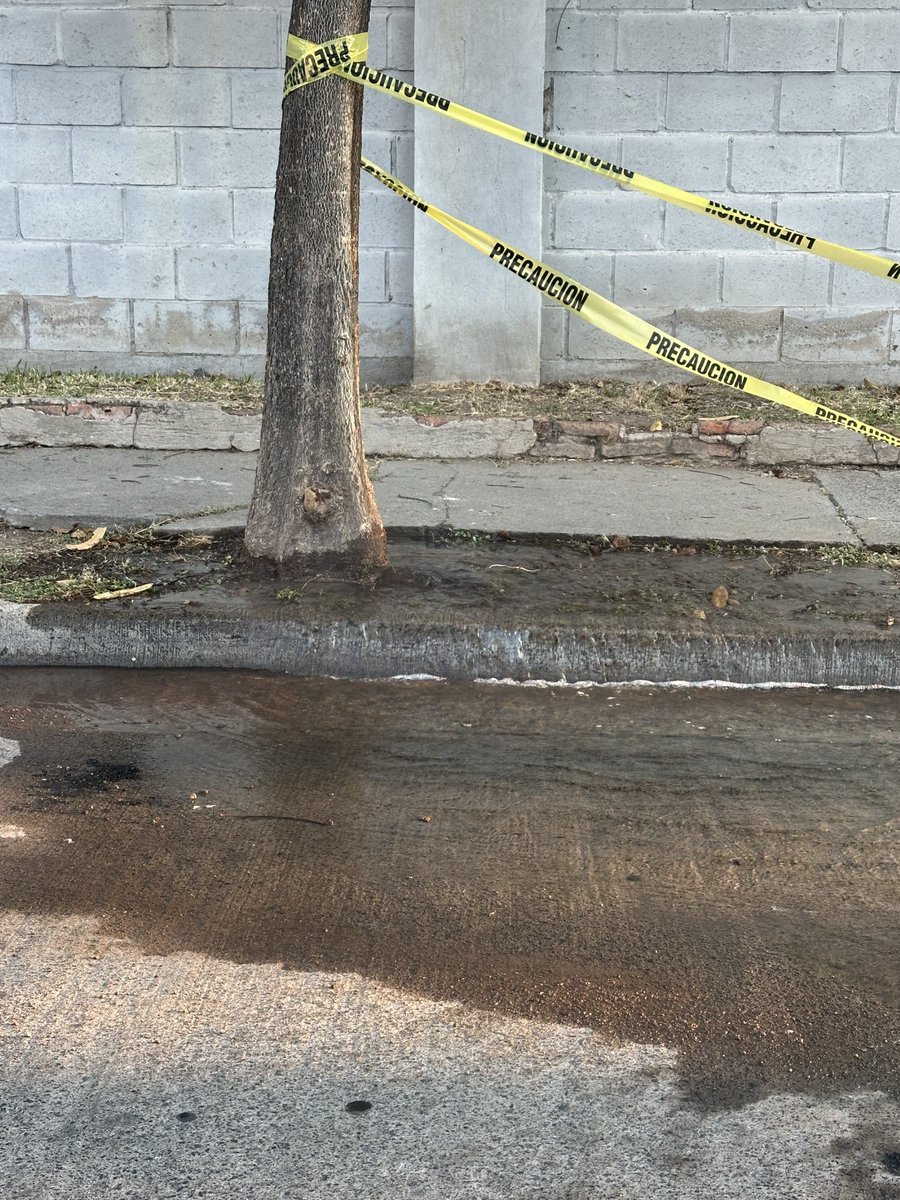 Oscar Ruvalcaba tweet media