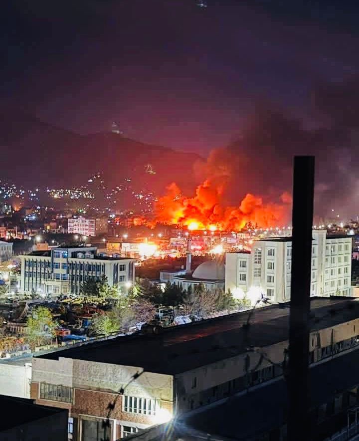 Jahnavi Kapoor tweet media