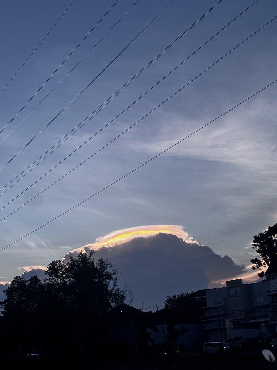 claire 🍒 tweet media