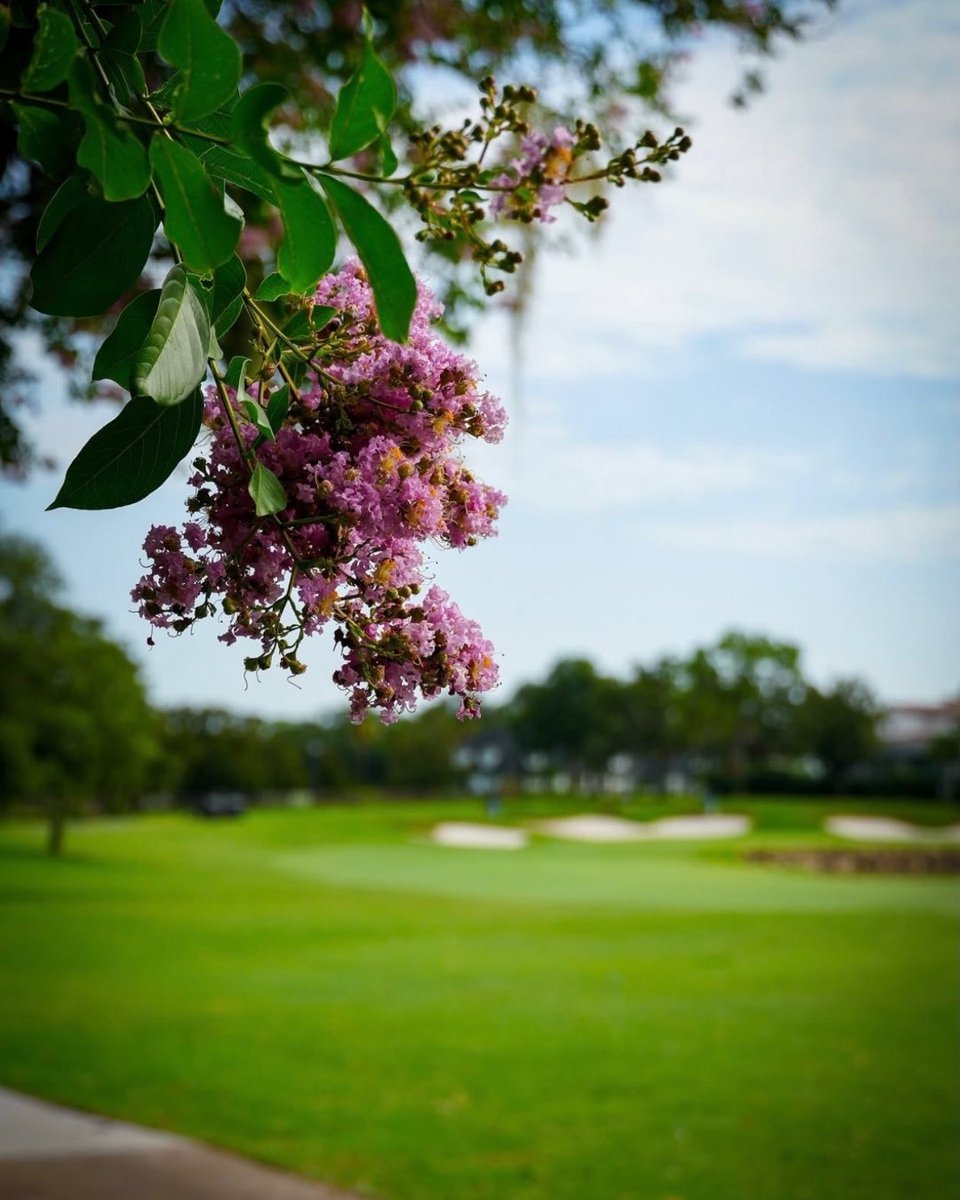 Conservative Baptist Network tweet media