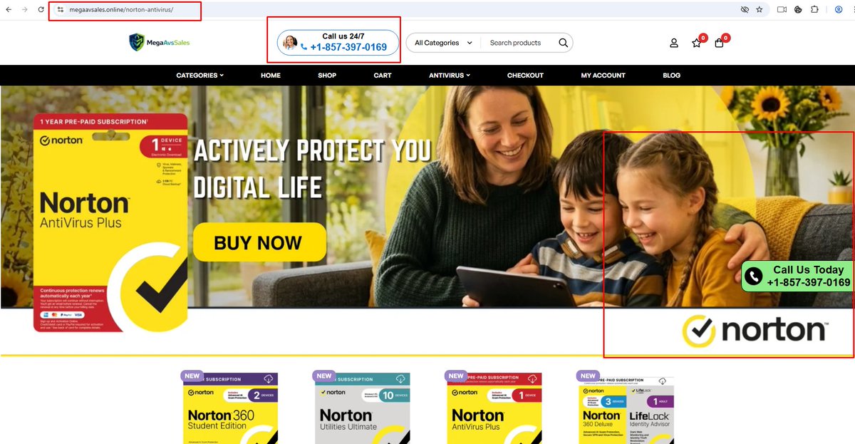 Big Scam Hunter tweet media