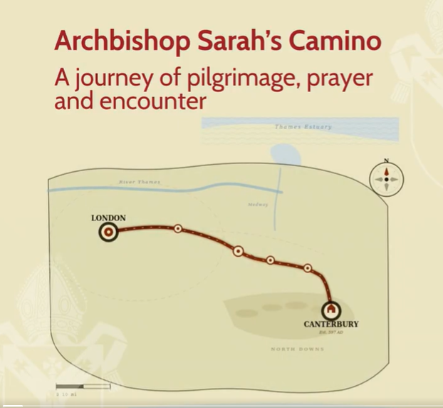 Daniel Sugarman tweet media