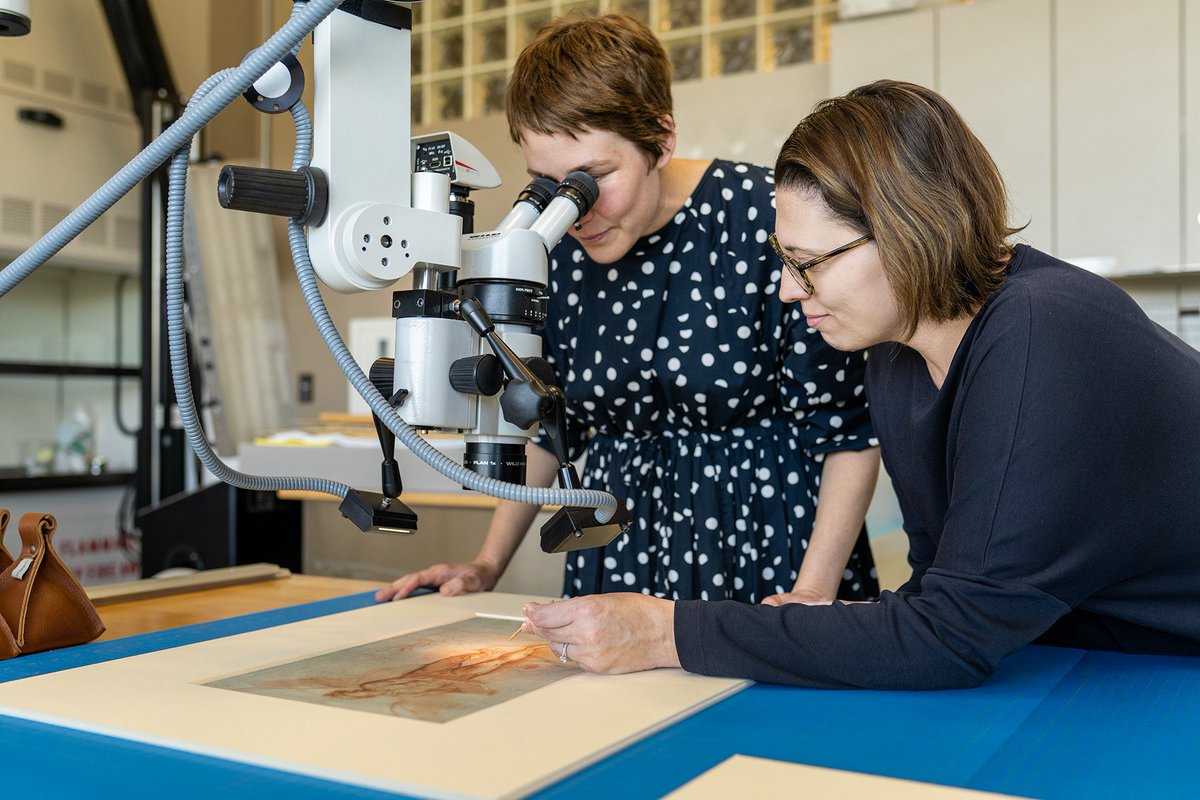 Susan Lin tweet media