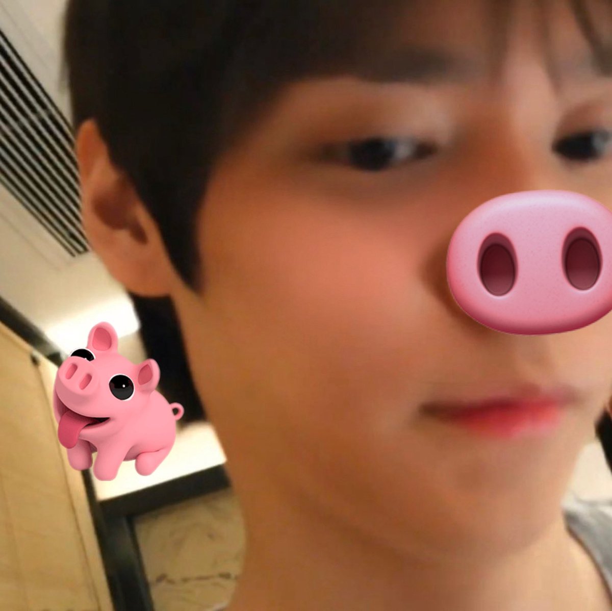 doluneko's tweet photo. 돼냥이🩷 https://t.co/5F0i1TQ6DE