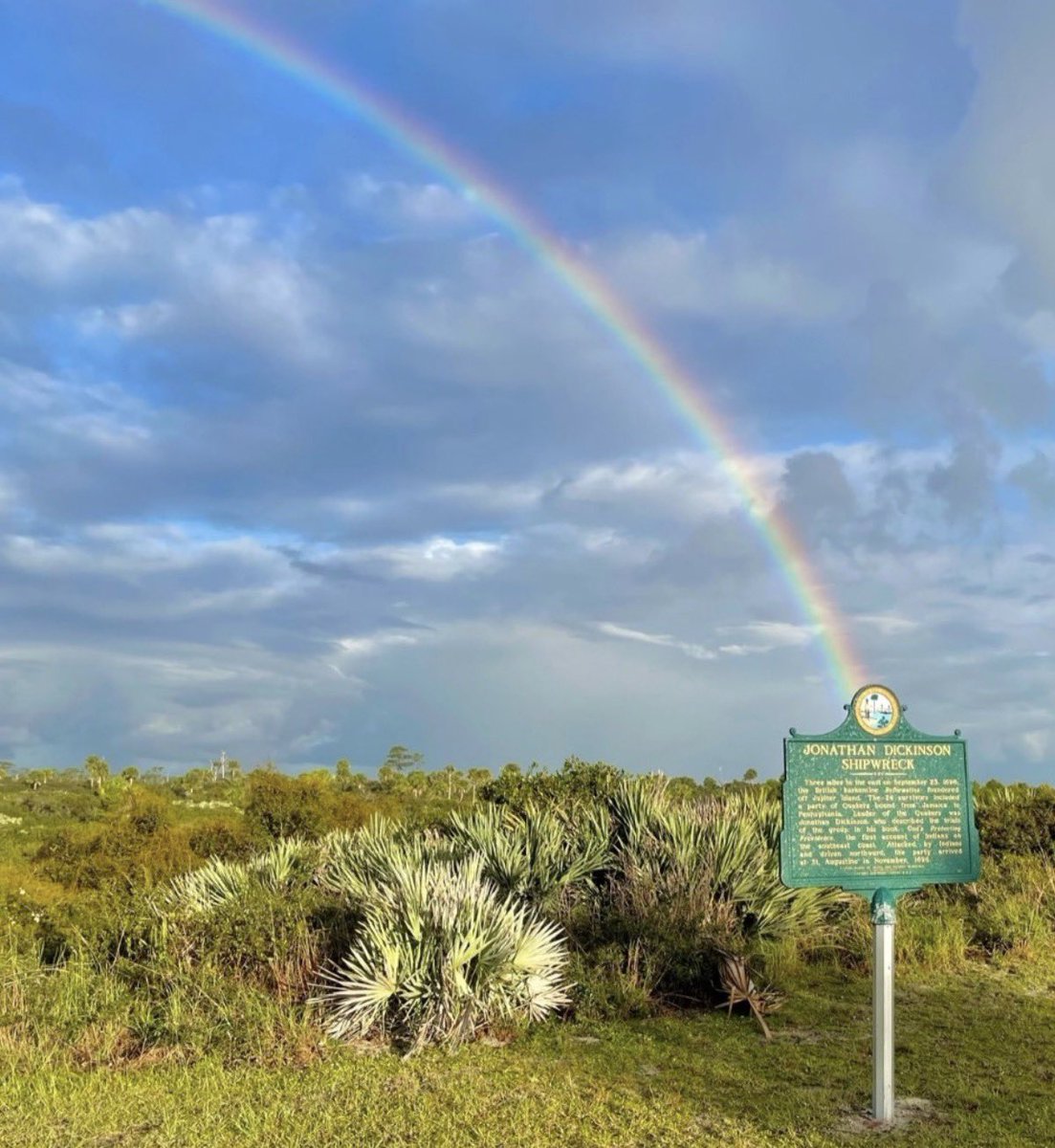 DiscoverMartin tweet media