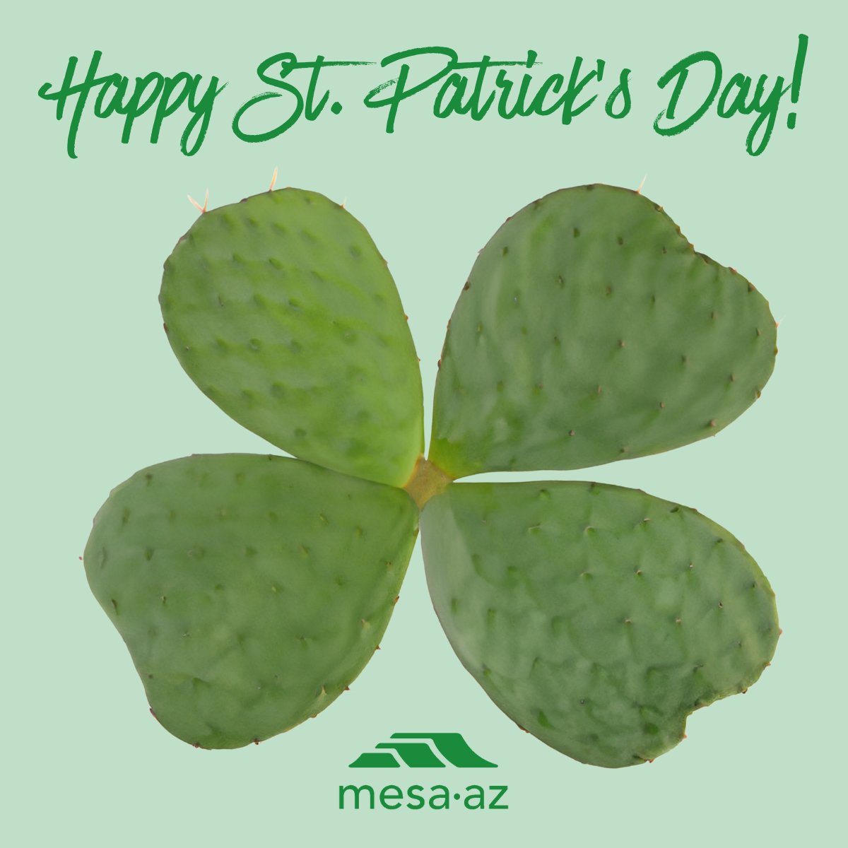 City of Mesa, Arizona tweet media