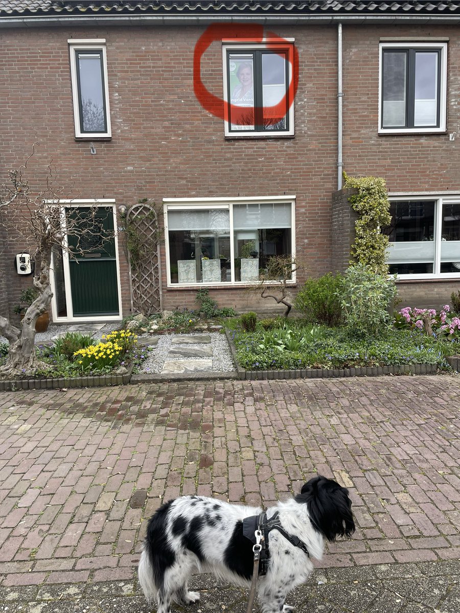 Hermen de Graaf 💐🐕 tweet media