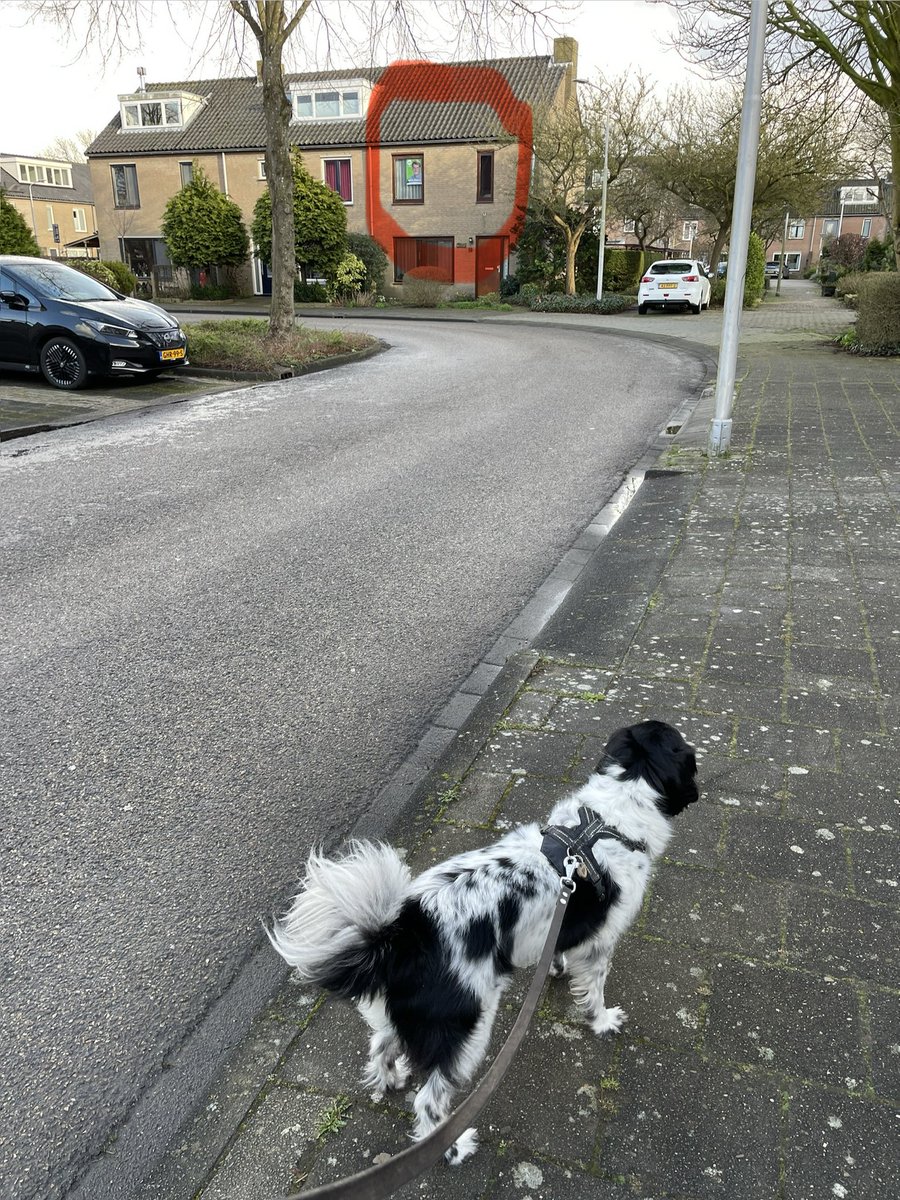 Hermen de Graaf 💐🐕 tweet media