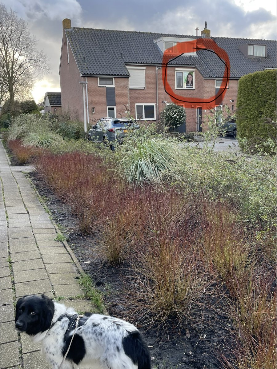Hermen de Graaf 💐🐕 tweet media