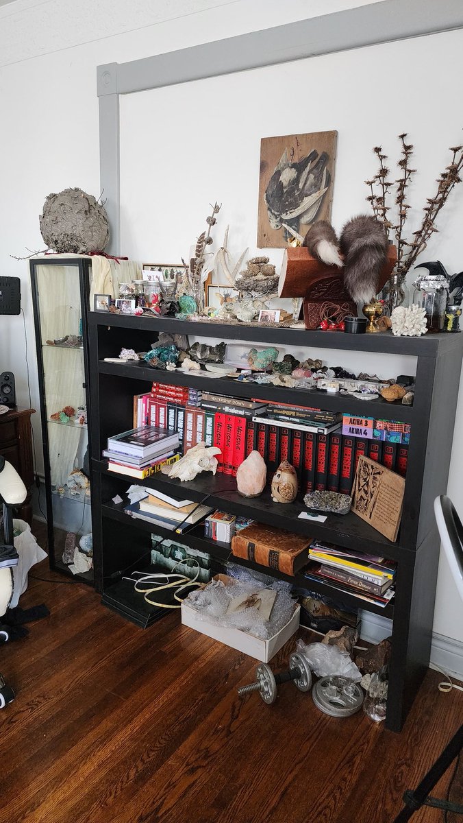 Ark 𒉭 tweet media