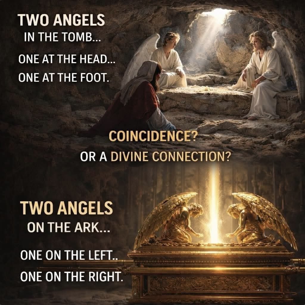 ☩ 𝕁𝕄𝕋 ☩ tweet media