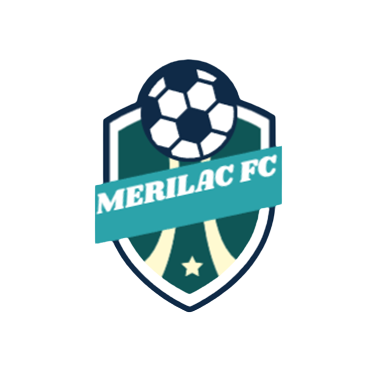 Ligue de Football Zenavienne tweet media