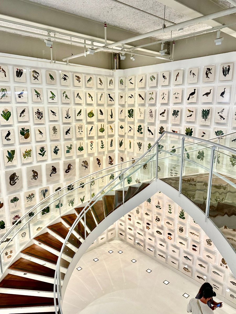 LIT Collective tweet media