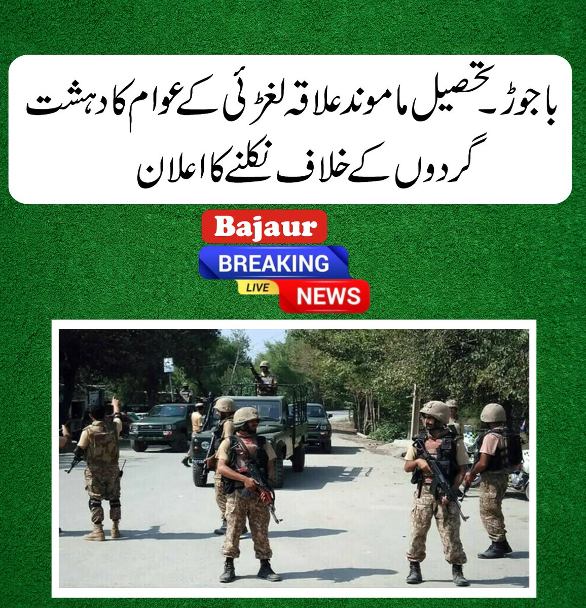 KP focus tweet media