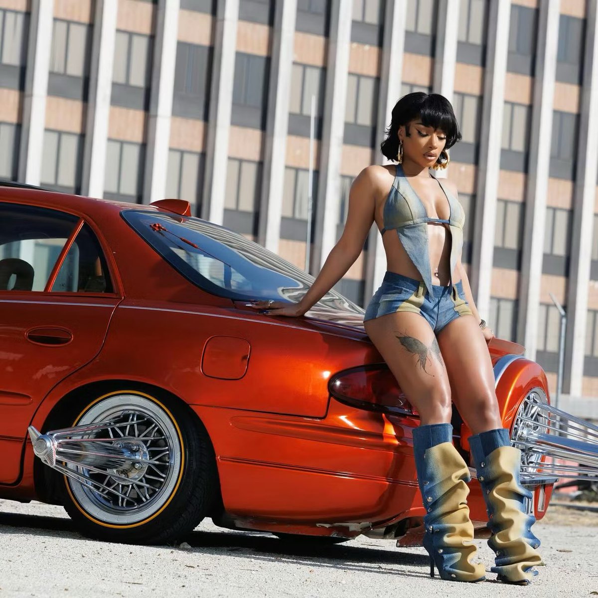 Stallion Stats tweet media