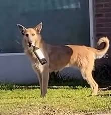 Dr Strange 24 tweet media