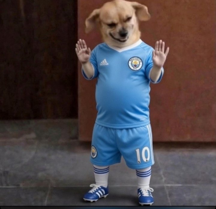 ManCeeTee's tweet photo. I'm a simple Man City fan. I see other Cityzens, I follow them. https://t.co/kms7sNqj1g