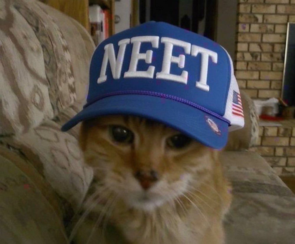 Musashi :: neet🌎order tweet media