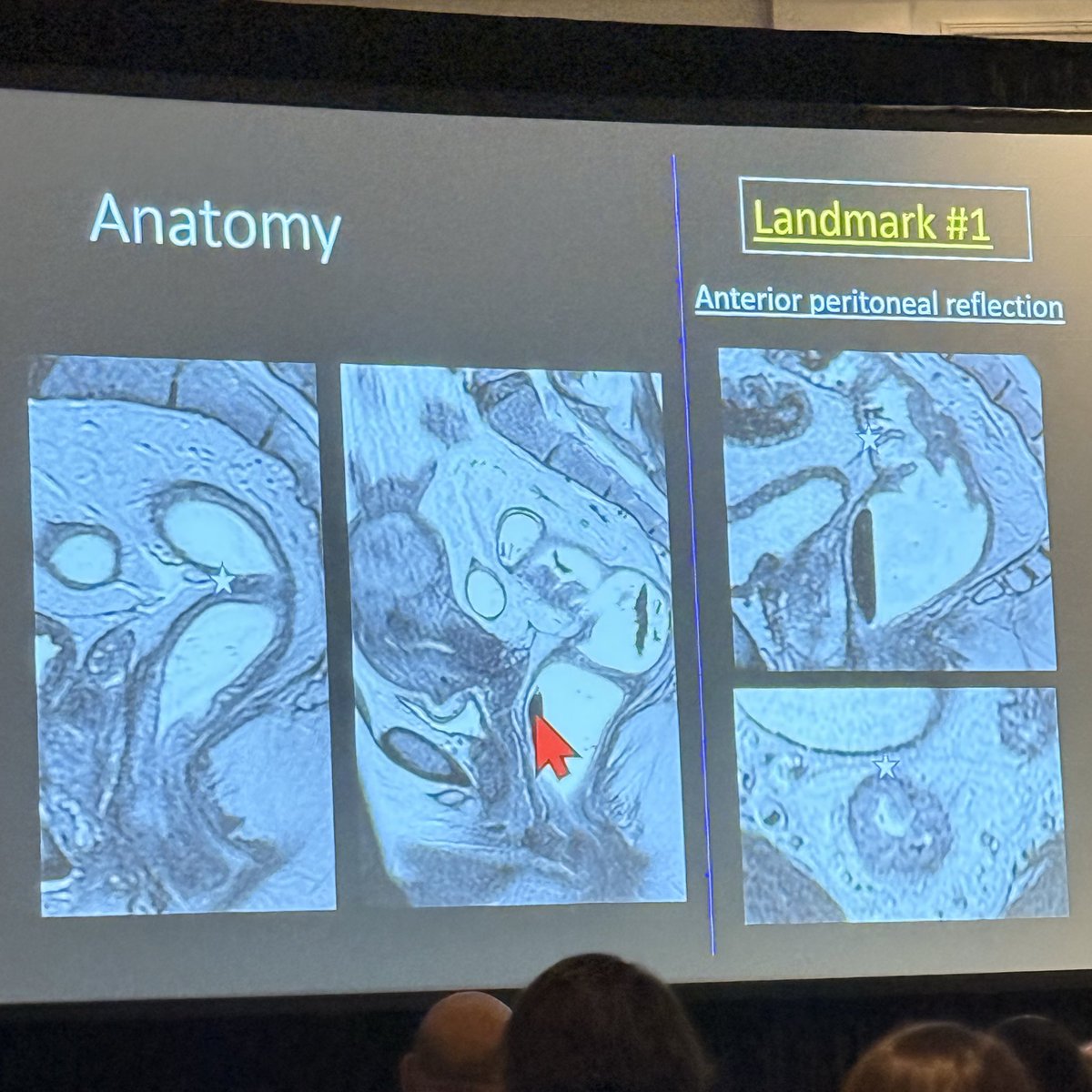 Daniel Souza tweet media