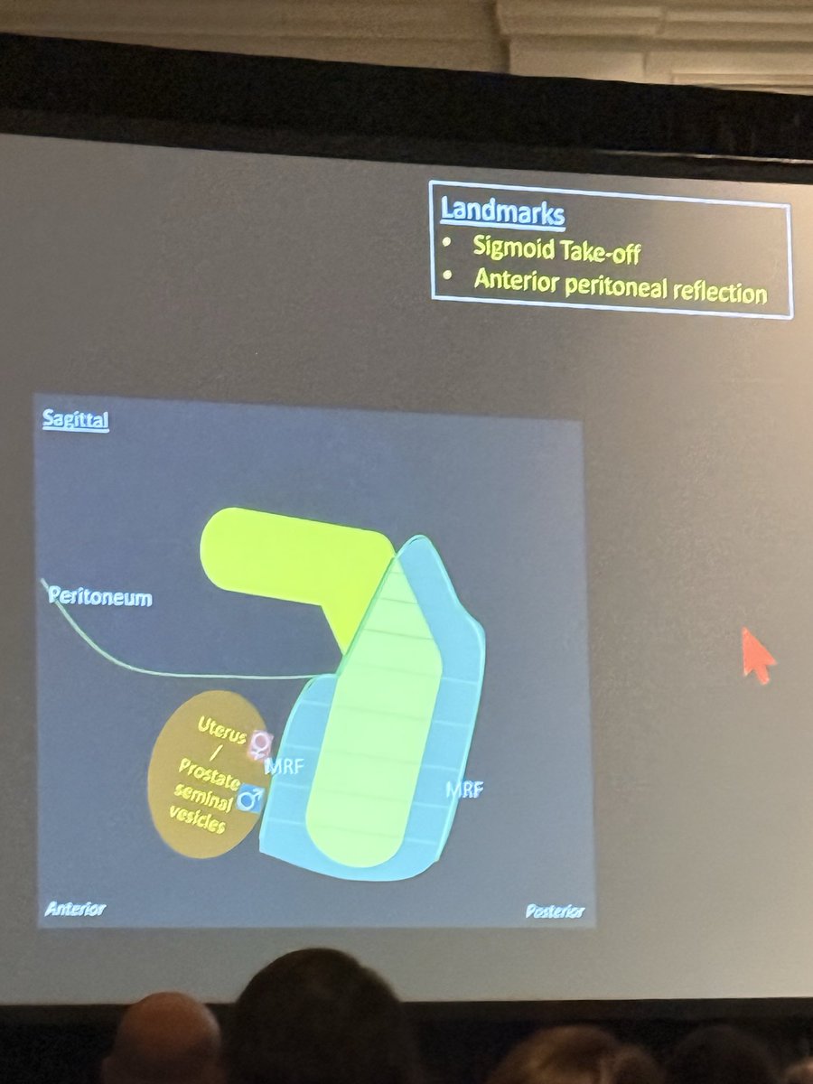 Daniel Souza tweet media