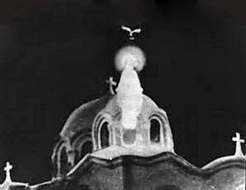 Fight for Mary tweet media