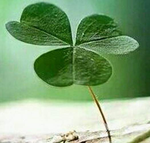 🌻Susana Aguiling🌻 tweet media