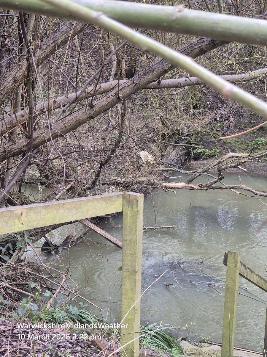 🌧️🌬️WarksMidsWx (Foxy)🌬️🌧️🇬🇧 tweet media