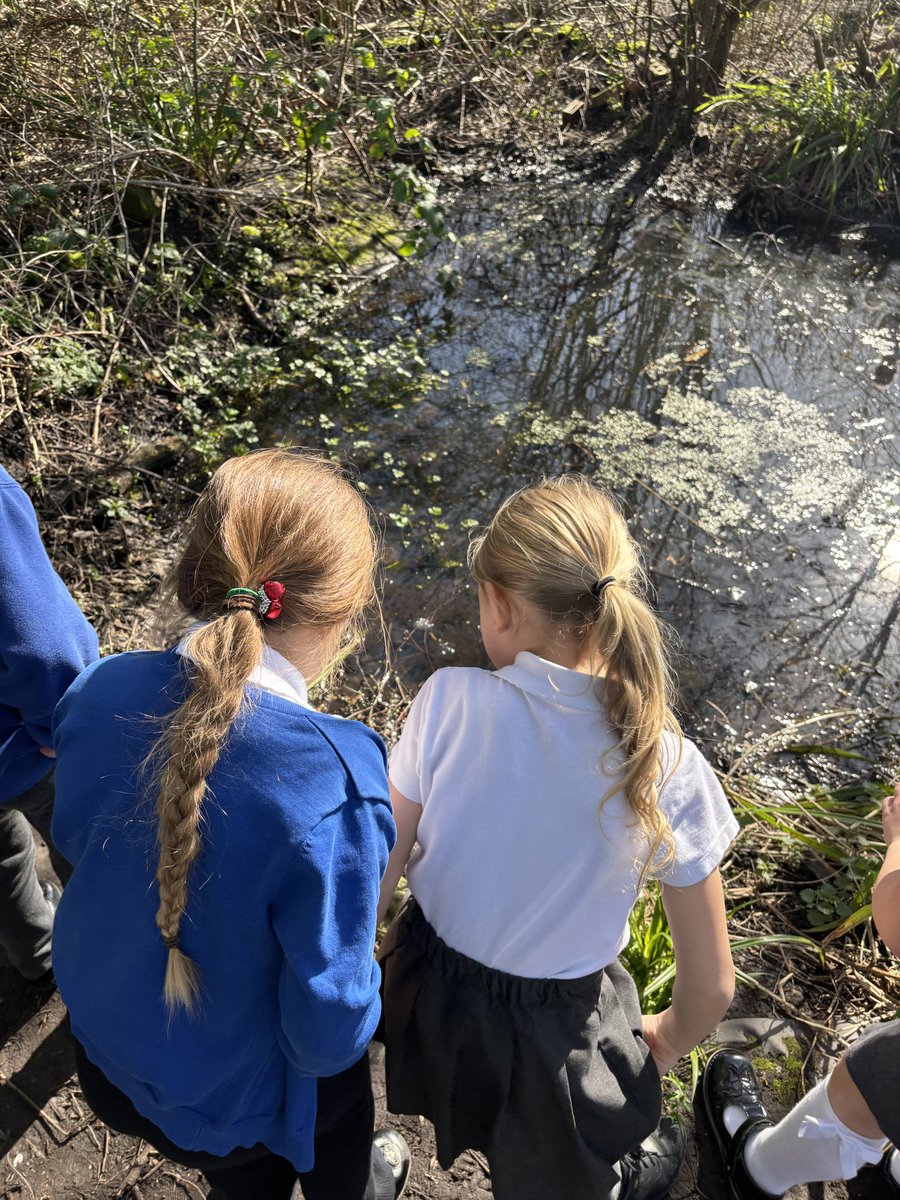 HT_OssettY12 tweet media