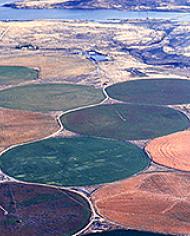 Agricultural Research Service tweet media