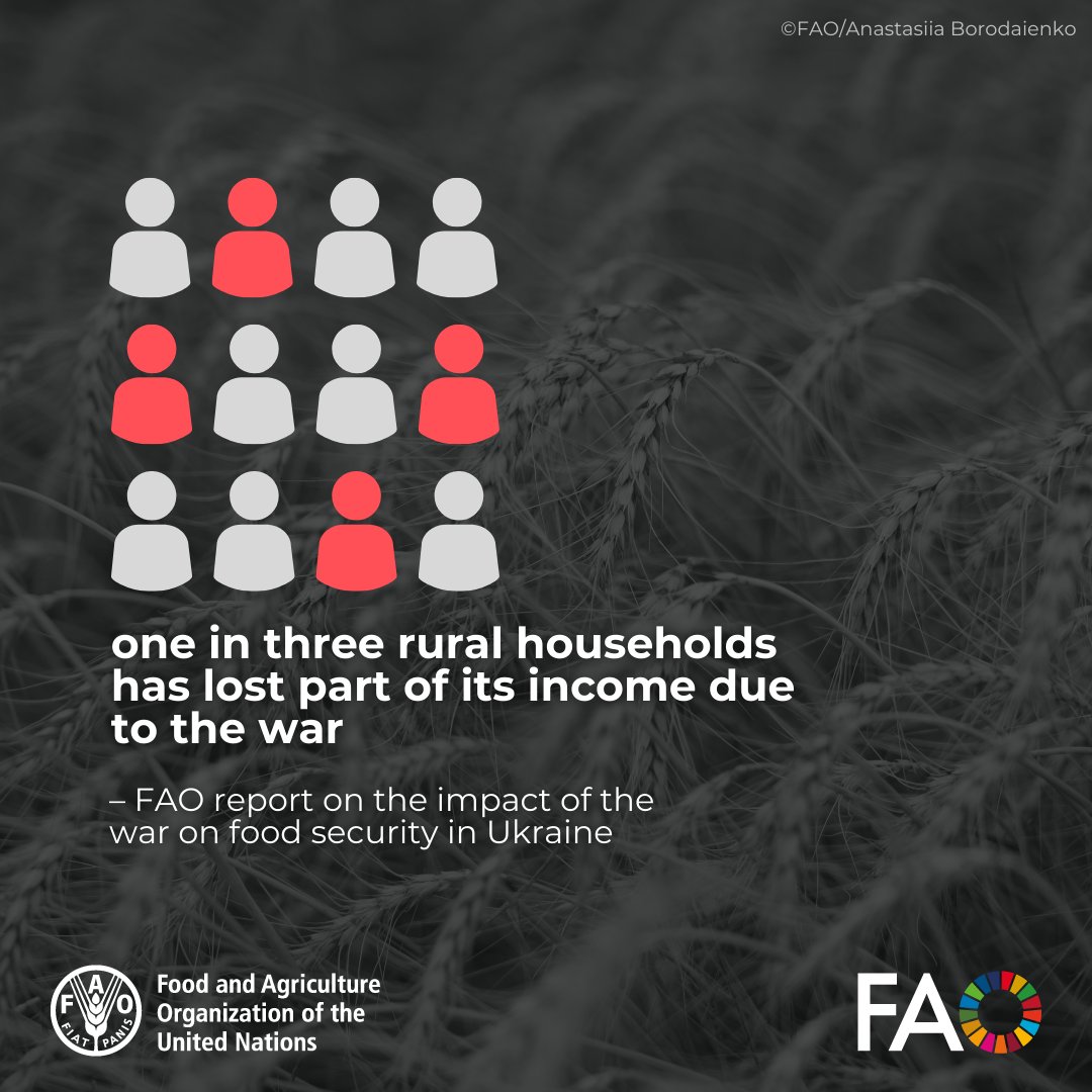FAO Ukraine tweet media