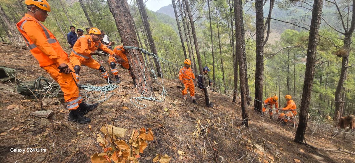 15BN NDRF GADARPUR, U.S NAGAR (UTTARAKHAND)🇮🇳 tweet media