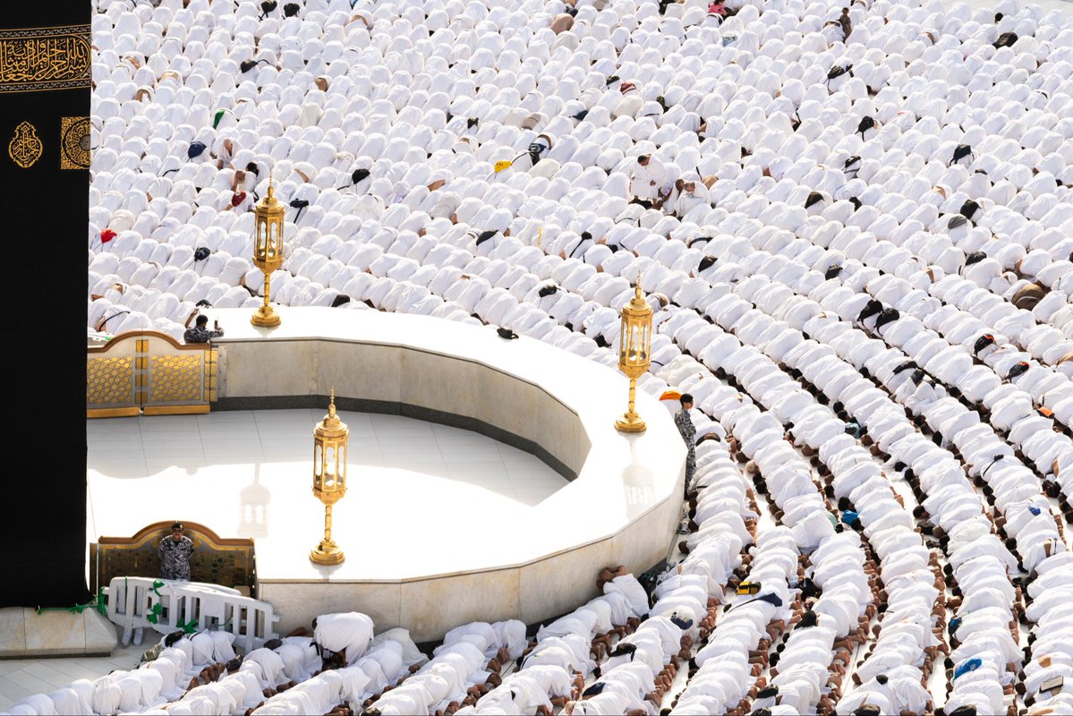 توفيق الربيعة tweet media