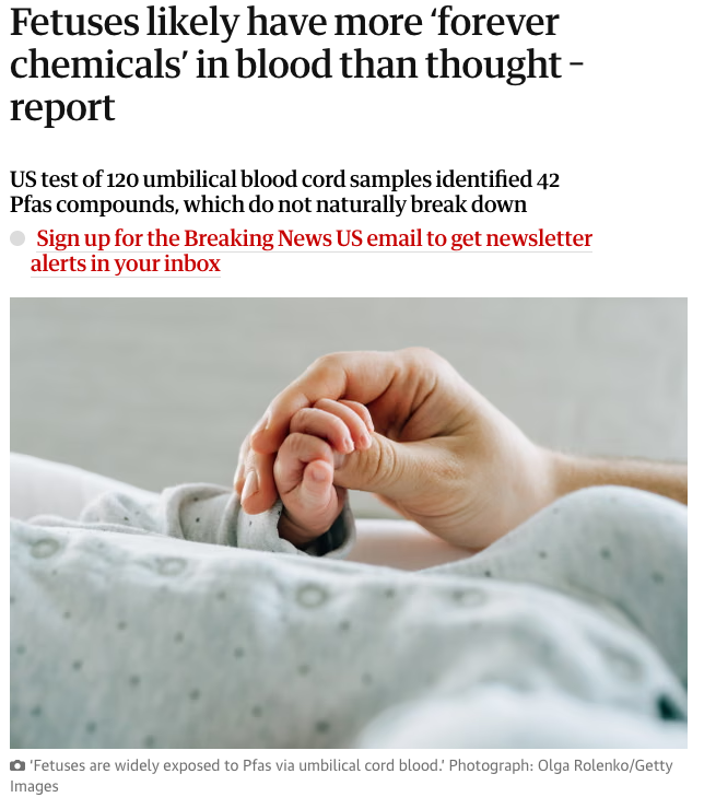 Mike Petegorsky tweet media